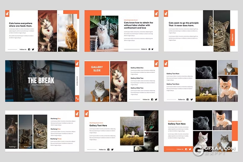 54页黑红色猫咪图片展示动物介绍展示国外PPT模板 - 顶尖PPT