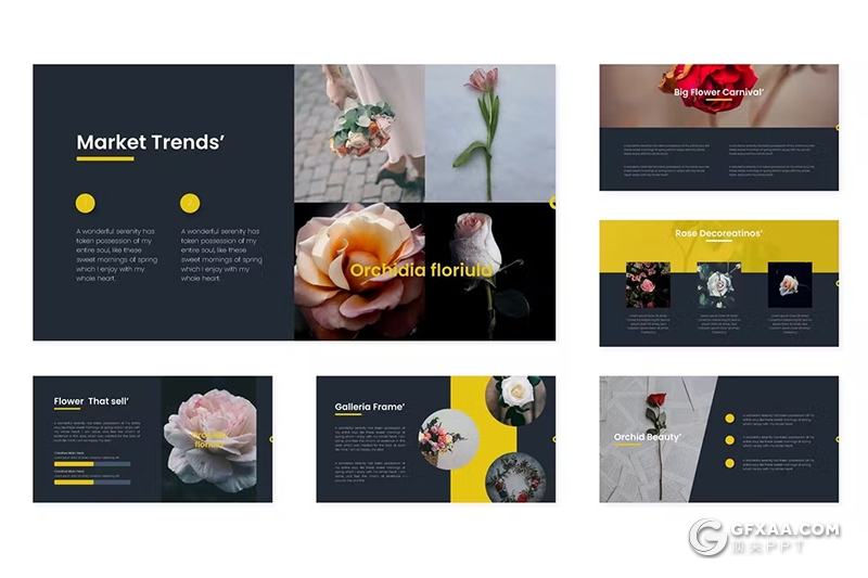 30页鲜花摄影展示品种研发国外keynote模板5种配色 - 顶尖PPT
