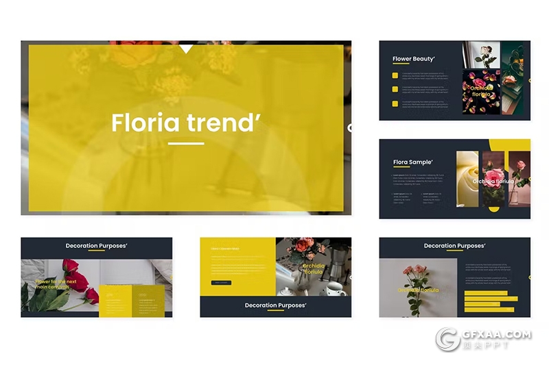 30页鲜花摄影展示品种研发国外keynote模板5种配色 - 顶尖PPT