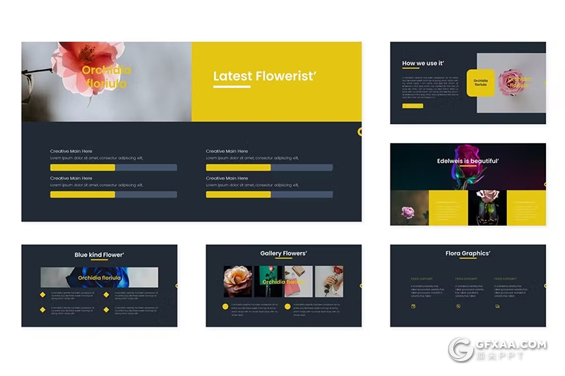 30页鲜花摄影展示品种研发国外keynote模板5种配色 - 顶尖PPT