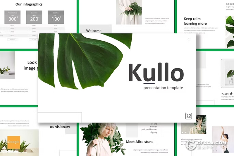 30页绿色国外小清新植物系国外GoogleSlides模板5种配色 - 顶尖PPT