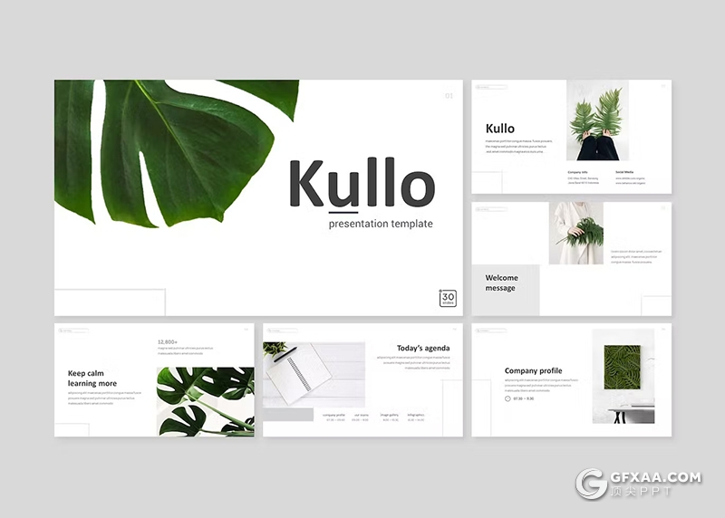 30页绿色国外小清新植物系国外GoogleSlides模板5种配色 - 顶尖PPT