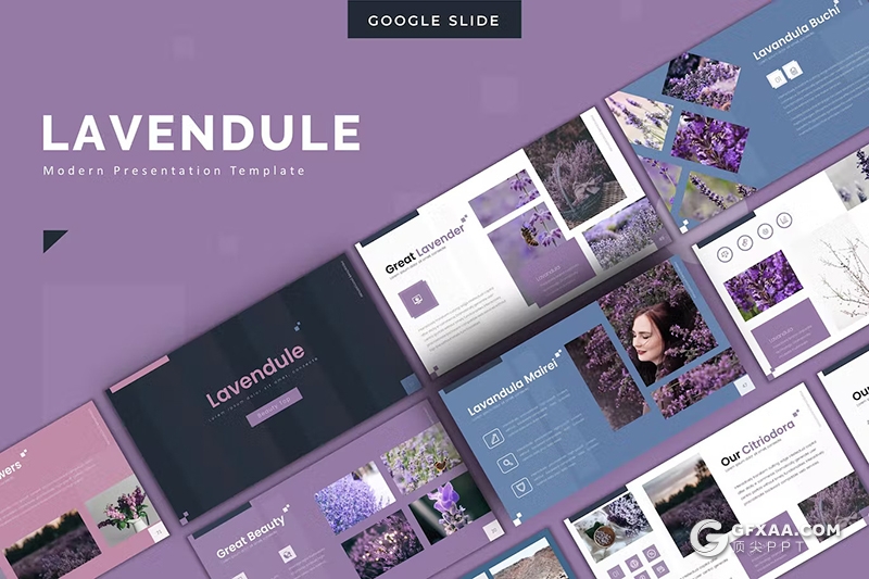 30页花卉植物宣传介绍种类分析国外PPT模板5种配色 - 顶尖PPT