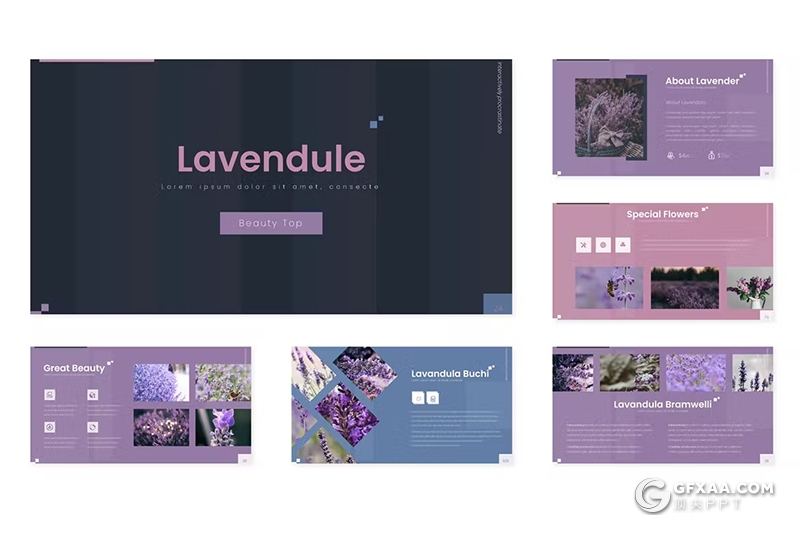 30页花卉植物宣传介绍种类分析国外PPT模板5种配色 - 顶尖PPT