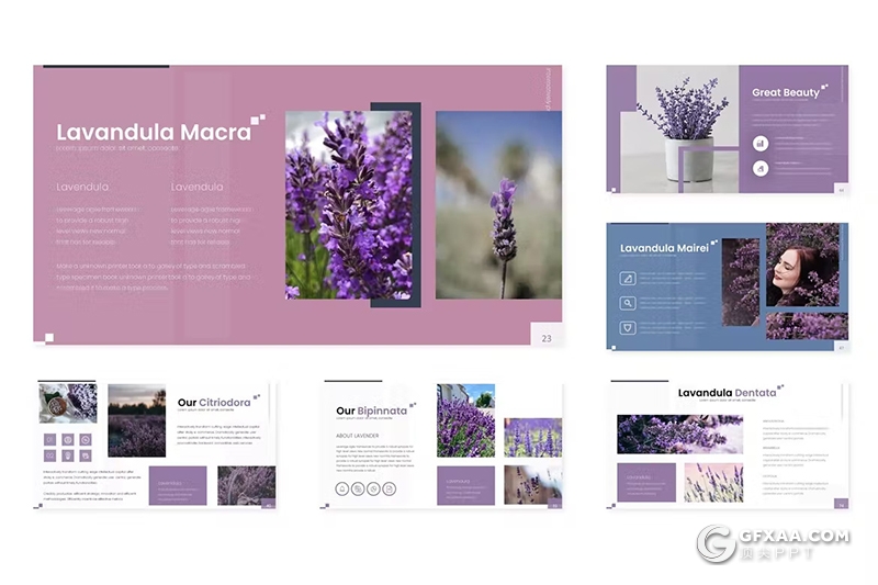 30页花卉植物宣传介绍种类分析国外PPT模板5种配色 - 顶尖PPT