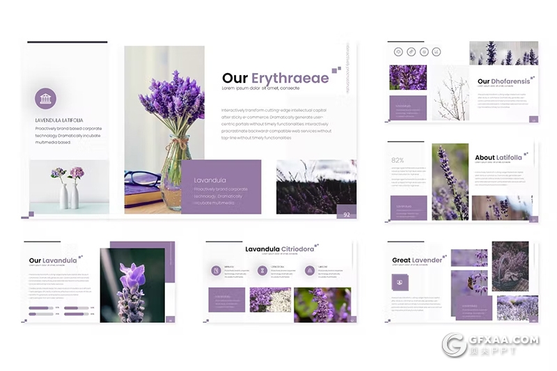 30页花卉植物宣传介绍种类分析国外PPT模板5种配色 - 顶尖PPT