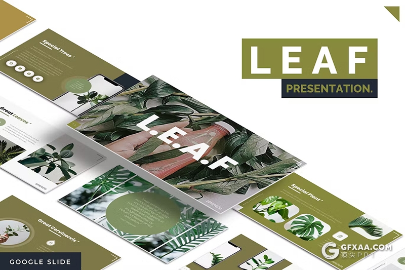 30页绿色小清新植物系国外GoogleSlide模板5种配色 - 顶尖PPT