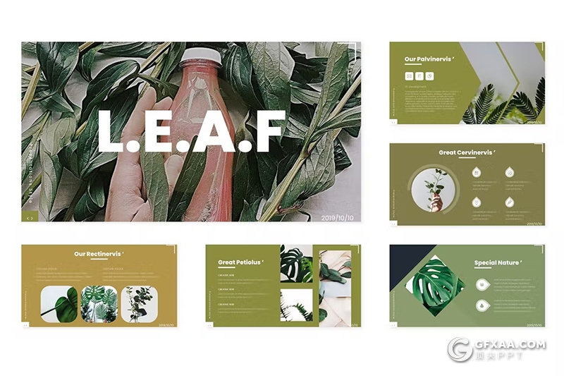 30页绿色小清新植物系国外PPT模板5种配色 - 顶尖PPT
