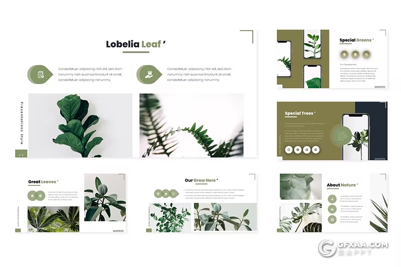 30页绿色小清新植物系国外PPT模板5种配色 - 顶尖PPT