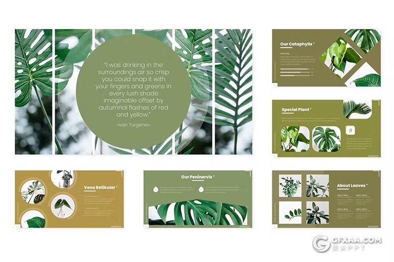 30页绿色小清新植物系国外PPT模板5种配色 - 顶尖PPT