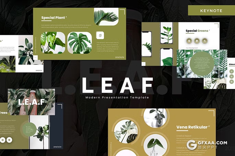 30页绿色小清新植物系国外keynote模板5种配色 - 顶尖PPT