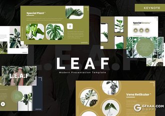 30页绿色小清新植物系国外keynote模板5种配色 - 顶尖PPT