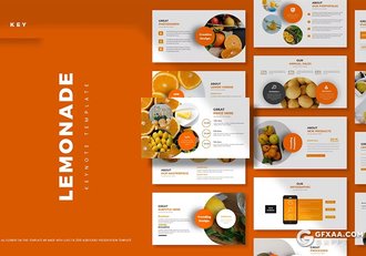 30页水果果汁制造研发介绍国外keynote模板5种配色 - 顶尖PPT