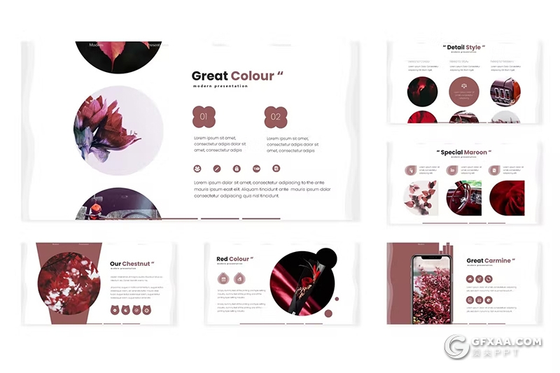 30页花卉植物宣传介绍种类分析国外GoogleSlides模板5种配色 - 顶尖PPT