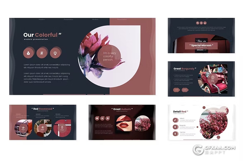 30页花卉植物宣传介绍种类分析国外GoogleSlides模板5种配色 - 顶尖PPT