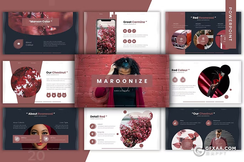 30页花卉植物宣传介绍种类分析国外PPT模板5种配色 - 顶尖PPT