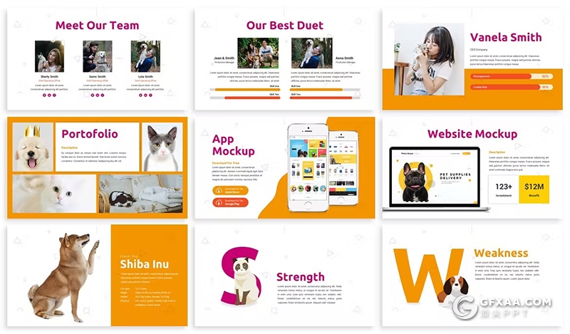 30页宠物介绍宠物店宠物主题keynote模板3种配色2款尺寸 - 顶尖PPT