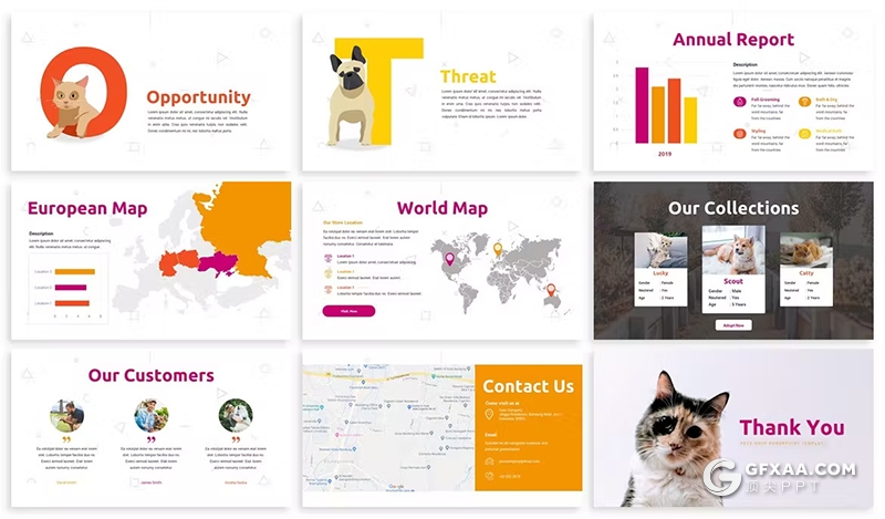 30页宠物介绍宠物店宠物主题keynote模板3种配色2款尺寸 - 顶尖PPT