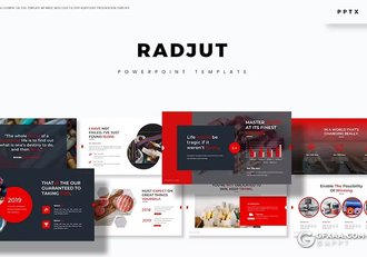 30页针织线毛线介绍产品分析国外PPT模板5种配色 - 顶尖PPT