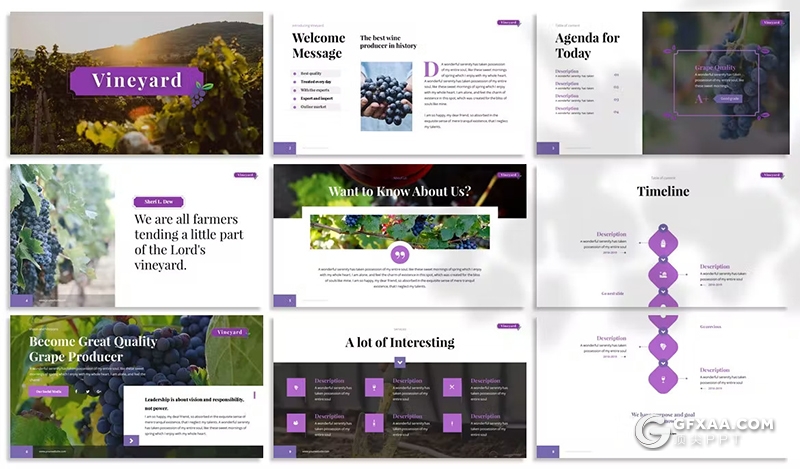 30页葡萄园农业主题国外PPT模板3种配色2款尺寸 - 顶尖PPT