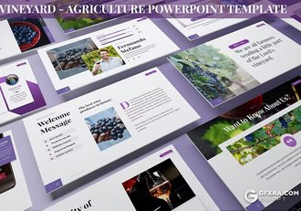 30页葡萄园农业主题国外PPT模板3种配色2款尺寸 - 顶尖PPT