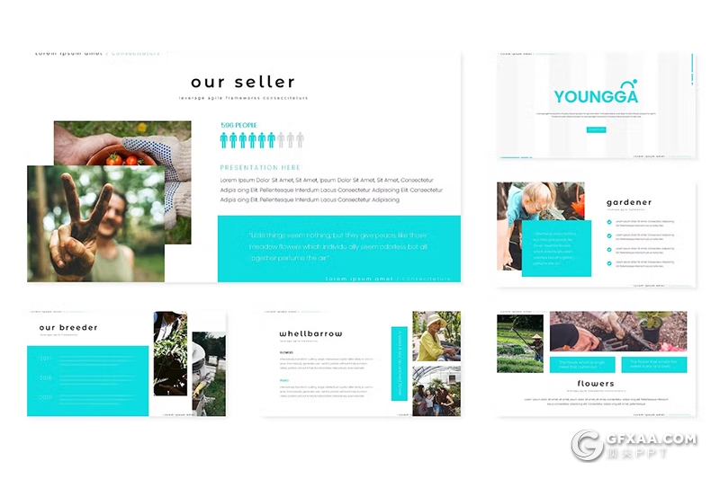 30页扁平化农业种植宣传介绍主题国外keynote模板5种配色 - 顶尖PPT