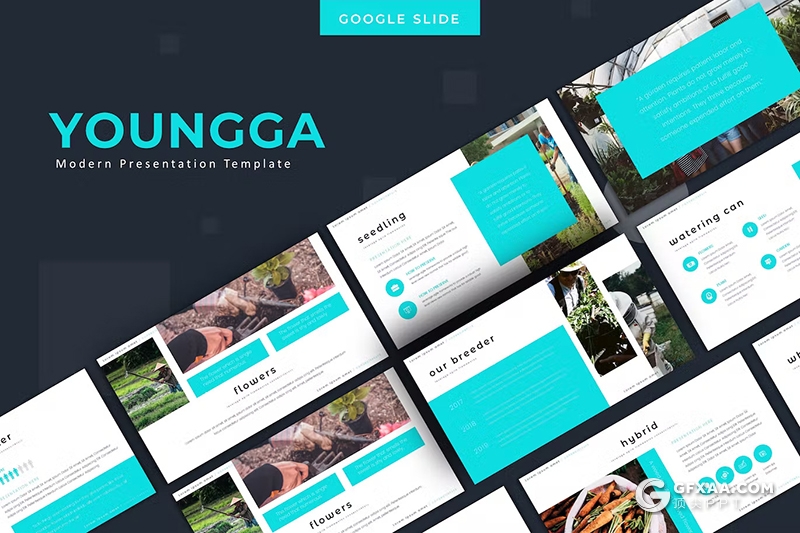 30页扁平化农业种植宣传介绍主题国外GoogleSlides模板5种配色 - 顶尖PPT