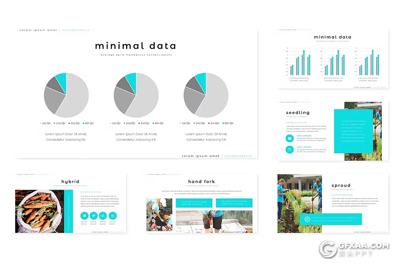 30页扁平化农业种植宣传介绍主题国外GoogleSlides模板5种配色 - 顶尖PPT
