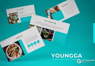 30页扁平化农业种植宣传介绍主题国外keynote模板5种配色 - 顶尖PPT