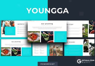 30页扁平化农业种植宣传介绍主题国外PPT模板5种配色 - 顶尖PPT