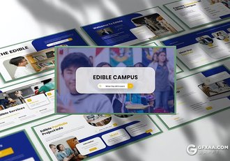 30页大气精美大学教育培训宣传国外PPT模板 - 顶尖PPT