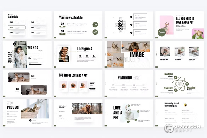 80页极简宠物摄影介绍展示PPT模板 - 顶尖PPT