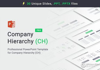 35页公司层次结构分析图PPT模板 - 顶尖PPT