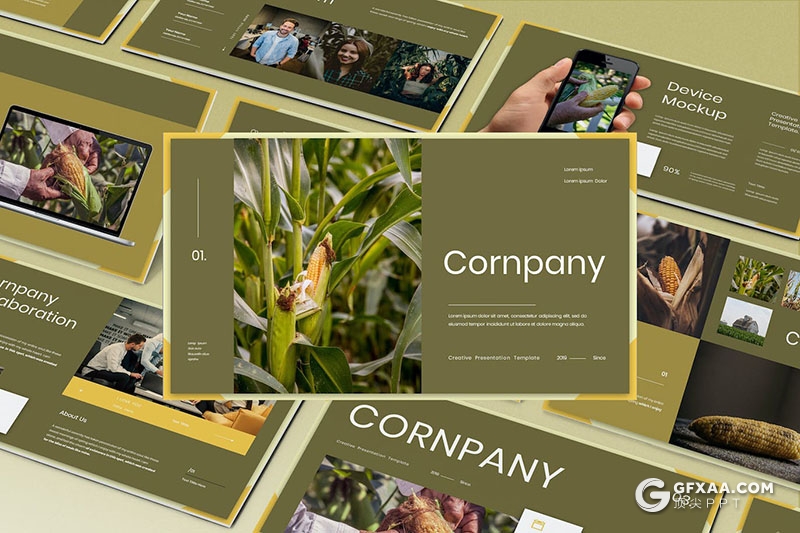 30页农场农作物种植展示玉米种植团队介绍通用国外PPT模板 - 顶尖PPT