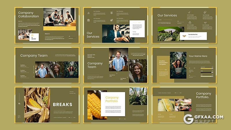 30页农场农作物种植展示玉米种植团队介绍通用国外PPT模板 - 顶尖PPT