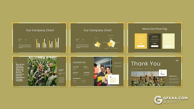 30页农场农作物种植展示玉米种植团队介绍通用国外PPT模板 - 顶尖PPT