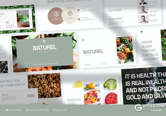 49页简约风绿色蔬菜食品介绍通用国外PPT模板 - 顶尖PPT