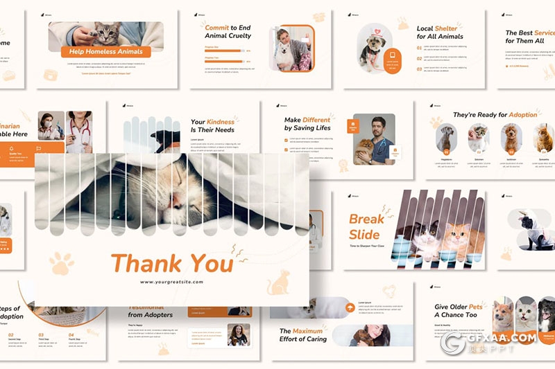 30页创意精美动物救援演示保护动物协会宠物摄影介绍展示多用途PPT模板 - 顶尖PPT