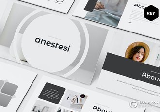 30页国外简约商务工作汇报总结计划多用途KeyNote模板5种配色 - 顶尖PPT