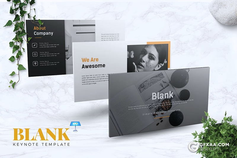 30页大气简约团队介绍商业计划商务通用国外KeyNote模板5种配色 - 顶尖PPT