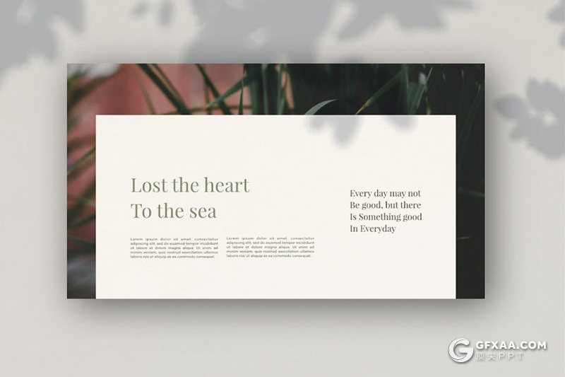 31页摄影图片展示活动营销策划通用国外PPT模板 - 顶尖PPT