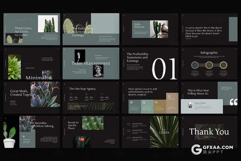 60页绿色植物图片展示绿植种植植物毕业论文国外PPT模板 - 顶尖PPT