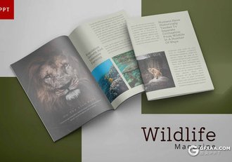20页A4尺寸杂志风野生动物介绍宣传展示通用国外PPT模板 - 顶尖PPT
