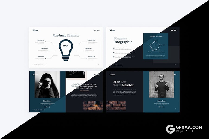 64页鲜花摄影展示品种研发分析国外PPT模板11种配色 - 顶尖PPT