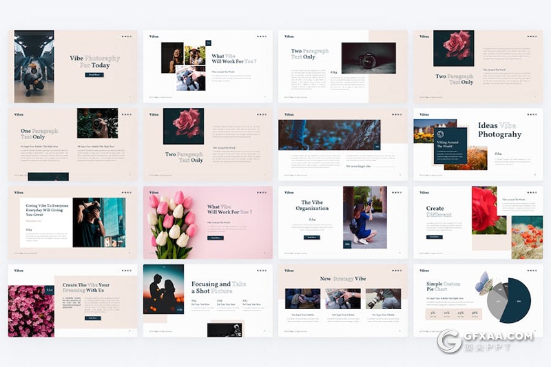 64页鲜花摄影展示品种研发分析国外PPT模板11种配色 - 顶尖PPT