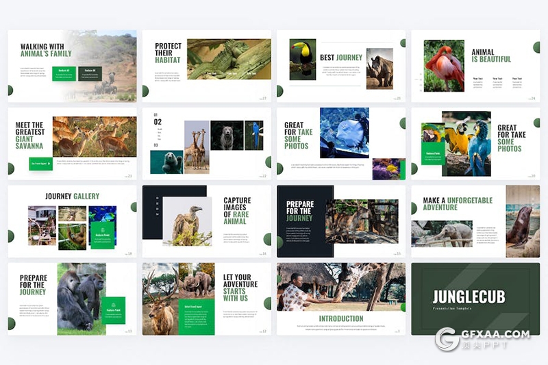 80页动物园宣传介绍动物摄影展示通用PPT模板 - 顶尖PPT