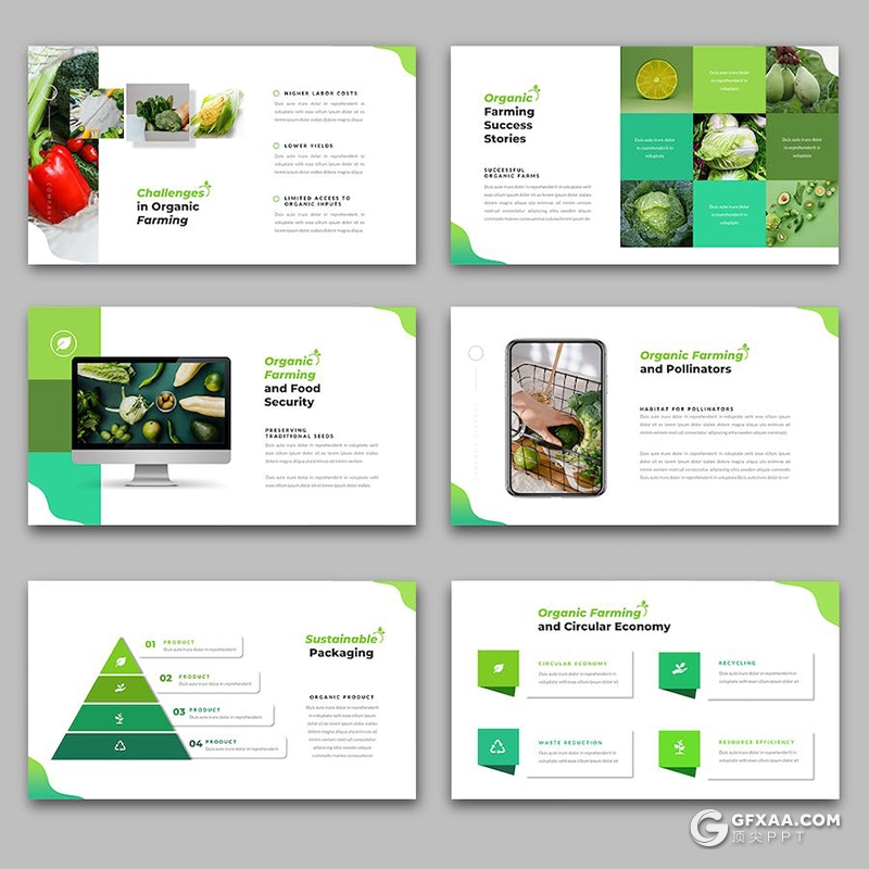 有机蔬菜农业农场主题国外keynote模板 - 顶尖PPT