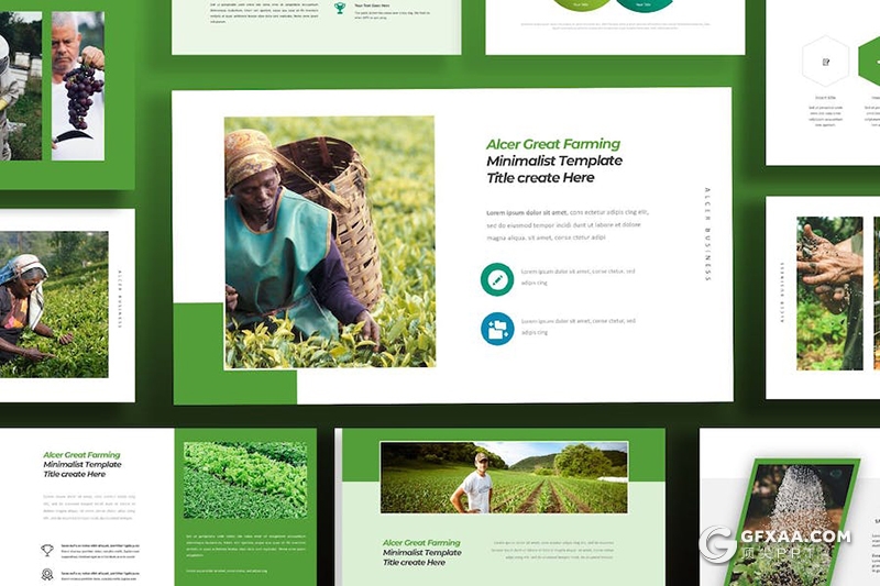 绿色蔬菜种植农业农场主题国外keynote模板 - 顶尖PPT