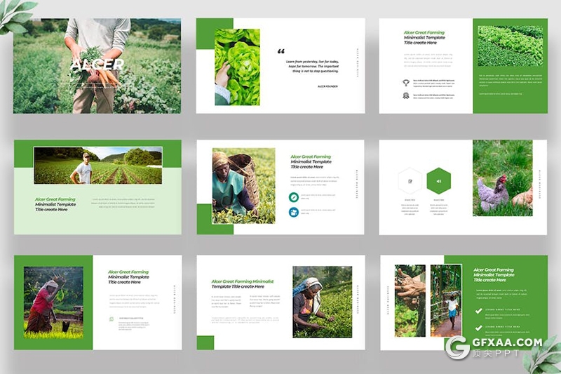 绿色蔬菜种植农业农场主题国外keynote模板 - 顶尖PPT