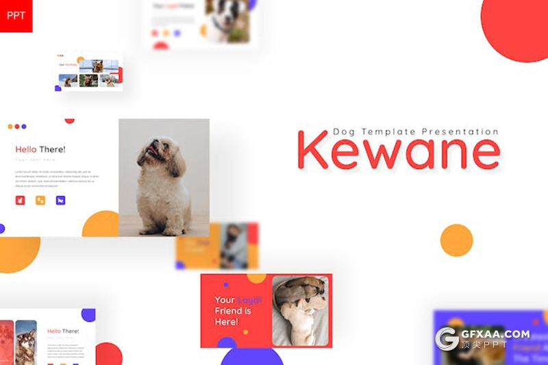 30页宠物行业市场调研分析宠物展示国外PPT模板 - 顶尖PPT